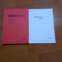 駿台 自由英作文のエッセンス 2024 竹岡広信 023S0D 駿台 自由英作文のエッセンス 2024 竹岡広信 023S0D : ブックス