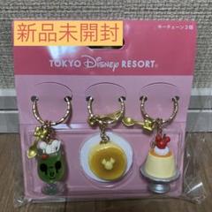 【新品未開封】ディズニーリゾート　パークマップ　キーホルダー　コンプセット 2025年最新】disney マップ パークの人気アイテム - メルカリ