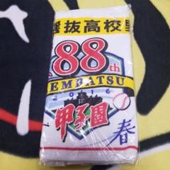 春の選抜高校野球選手権大会フェイスタオルのサムネイル
