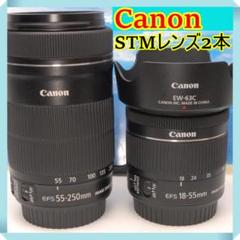 楽天市場】efs 55－250の通販