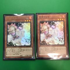 遊戯王 灰流うらら ウルトラ1枚スーパー1枚