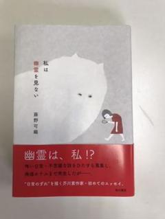 私は幽霊を見ない 藤野可織著