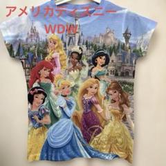 ディズニーダラー　20周年記念　2007年 　5ドル　プリンセス　 オーロラ姫 2025年最新】ディズニードルプリンセスの人気アイテム - メルカリ