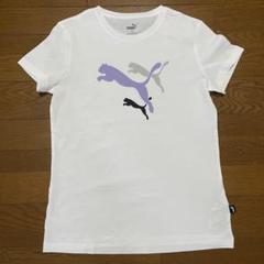 2025年最新】cat power tシャツの人気アイテム - メルカリ