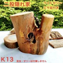 特大　希少三股　隠れ家　クワリウム　樹洞加工　クワガタ　登り木　止まり木　エサ皿 特大 希少三股 隠れ家 クワリウム 樹洞加工 クワガタ 登り木