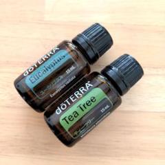 doTERRA - お値下げ→doTERRAドテラ ティーツリー 15ml 【新品未