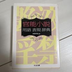 官能小説 用語 表現 辞典
