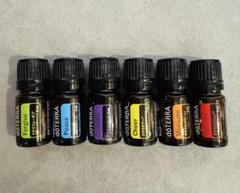 doTERRA エッセンシャルオイル 感情ケアオイル6本セット ドテラ 6点セット 感情のオイル 1ml お試し - メルカリ