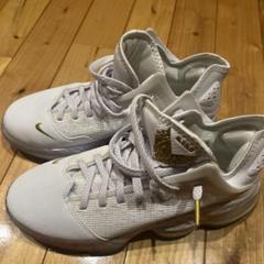 ⭐隠れた名品!!nike lebron 19 low美品ナイキ レブロン ロー 楽天市場】NIKE LEBRON XIX LOW EPナイキ レブロン 19 ロー