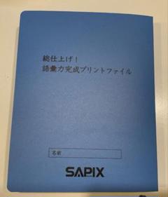 SS特訓 冬期講習 正月特訓　語彙力完成プリント　サピックス　❴非売品❵ 楽天市場】SAPIX SS特訓/正月特訓/冬期講習 国語 語彙力完成