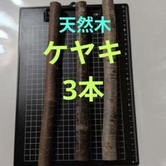 天然木 ケヤキ 3本セット