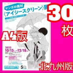 ３０ アイシースクリーン展 北九州版 フライヤー 30 アイシースクリーン展 北九州版 フライヤー - メルカリ