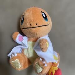 ポケモンセンター限定リカケイノオトコヒトカゲぬいぐるみ