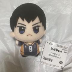 2025年最新】ハイキュー ちびぐるみ 影山の人気アイテム - メルカリ
