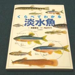 よっちゃん様専用 くらべてわかる淡水魚 : 識別ポイントで見分ける