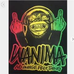 WANIMA - WANIMA 初期パーカー WANIMA - WANIMA 初期パーカーの通販 by hanakappa｜ワニマなら