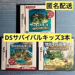 DS サバイバルキッズ 3本セット