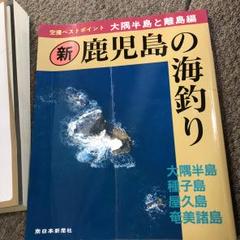 鹿児島の海釣り : 空から見たベストポイント : 最新版 大隅半