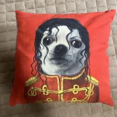 PETS ROCK クッション❎2 PETS ROCK クッション❎2