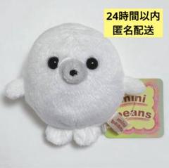 【値下げ不可】新品 mini beans ミニビーンズ アザラシ ぬいぐるみ