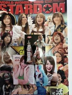 スターダム観戦ガイドブック 紫雷イオ、岩谷麻優、サンダー