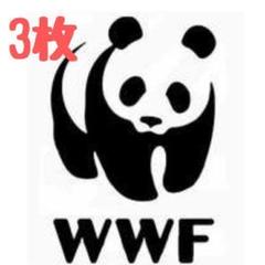 2025年最新】PANDA サーフボードの人気アイテム - メルカリ