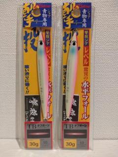 撃投ジグ レベル 30g 2本セットのサムネイル