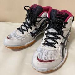 ASICS リブレMT ミドルカット バレーボールシューズ 白　25