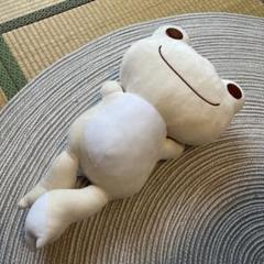 かえるのピクルス　もちもちおひるねBIGぬいぐるみ　コンプ　セット かえるのピクルスもちもちおひるねBIGアソート第2弾【ラウンド