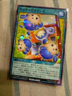 遊戯王ラッシュデュエル　タマタマガチャンス　100枚セット　最強ジャンプ　8月号 最強ジャンプ 8月号 付録 遊戯王 タマタマガチャンス ラッシュ