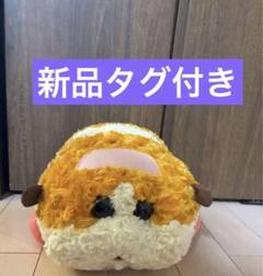 PUIPUIモルカー　ザ・ムービーMOLMAXバラボアBIGぬいぐるみ　ポテト