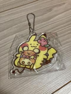 ポケモン カナヘイ コラボ アクリルチャーム アクリルキーホルダー まとめ売り ポケモン - ポケモンゆるっと アクリルキーホルダー カナヘイ