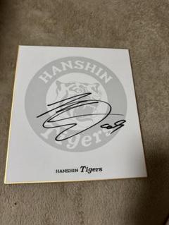 阪神タイガース 大竹耕太郎選手 直筆サインロゴ色紙