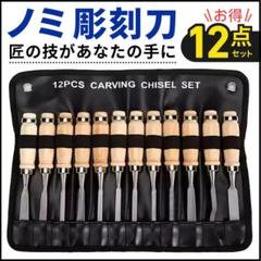 彫刻刀 ノミ 12本 セット カービングナイフ 木工 工作 DIY 木彫り 鑿