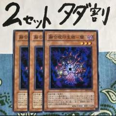 A5021 遊戯王 大量 各約50枚 約150枚 融合呪印生物ー闇 地 光