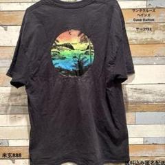 サンタクルーズ　サーフTシャツ メンズ黒　サイズ表記無し