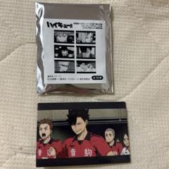 m99965091767_1.jpg?1714572067