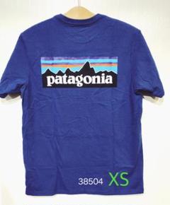 patagonia パタゴニア TシャツP-6 ロゴ レスポンシビリティー