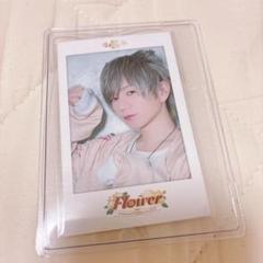 うらたぬき チェキ風カード Flower まとめ買い うらたぬき チェキ風カード flower - メルカリ