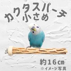 鳥用品 止まり木 カクタス スケルトン パーチ 小さめ No.601