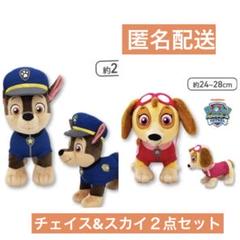 パウ•パトロール　パウっと集合ぬいぐるみ　チェイス&スカイ