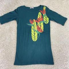 マウナロア　ホウパラダイズＴシャツ(５分袖) Green Mサイズ　美品