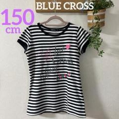 BLUE CROSS ブルークロスガールズ Tシャツ トップス 女の子 150