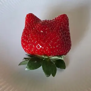 【Pupuu】BONAVENTURA ハート コンパクトミラー どんなバッグにも合う♡ボナベンチュラのハート コンパクト