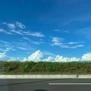 ハーブウォーターの世界 井上雅治 51ON5OQgeZL._AC_SY200_QL15_.jpg