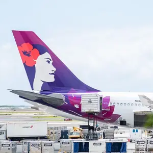 模型飛行機 ノースウエスト航空 B747 ボーイング LED ランディングギア 模型飛行機 ノースウエスト航空 B747 ボーイング LED - 航空機