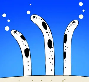 あなご(*˘ ³˘)