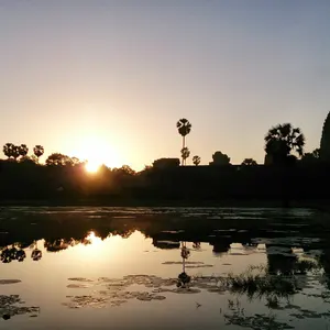 池上様専用 カーバースケートボード 32'' Glass Off【新品・未使用