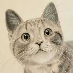 色鉛筆画 絵画 ネコの絵 原画 額付き(B5サイズ) - メルカリ