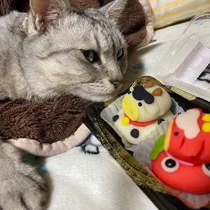ヒグチユウコ　ギュスターヴくん　マルチケース ギュスターヴくん マルチケース – ボリス雑貨店